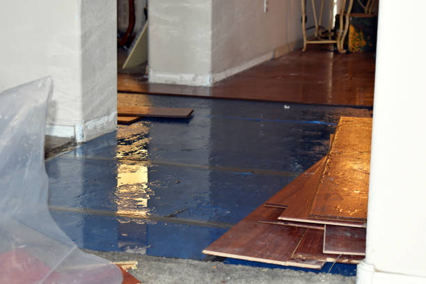 Professional Basement Flood Cleanup technician working in Riesel, TX